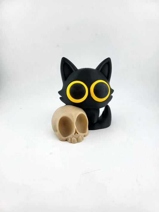 Black cat, white skull: a haunting duo