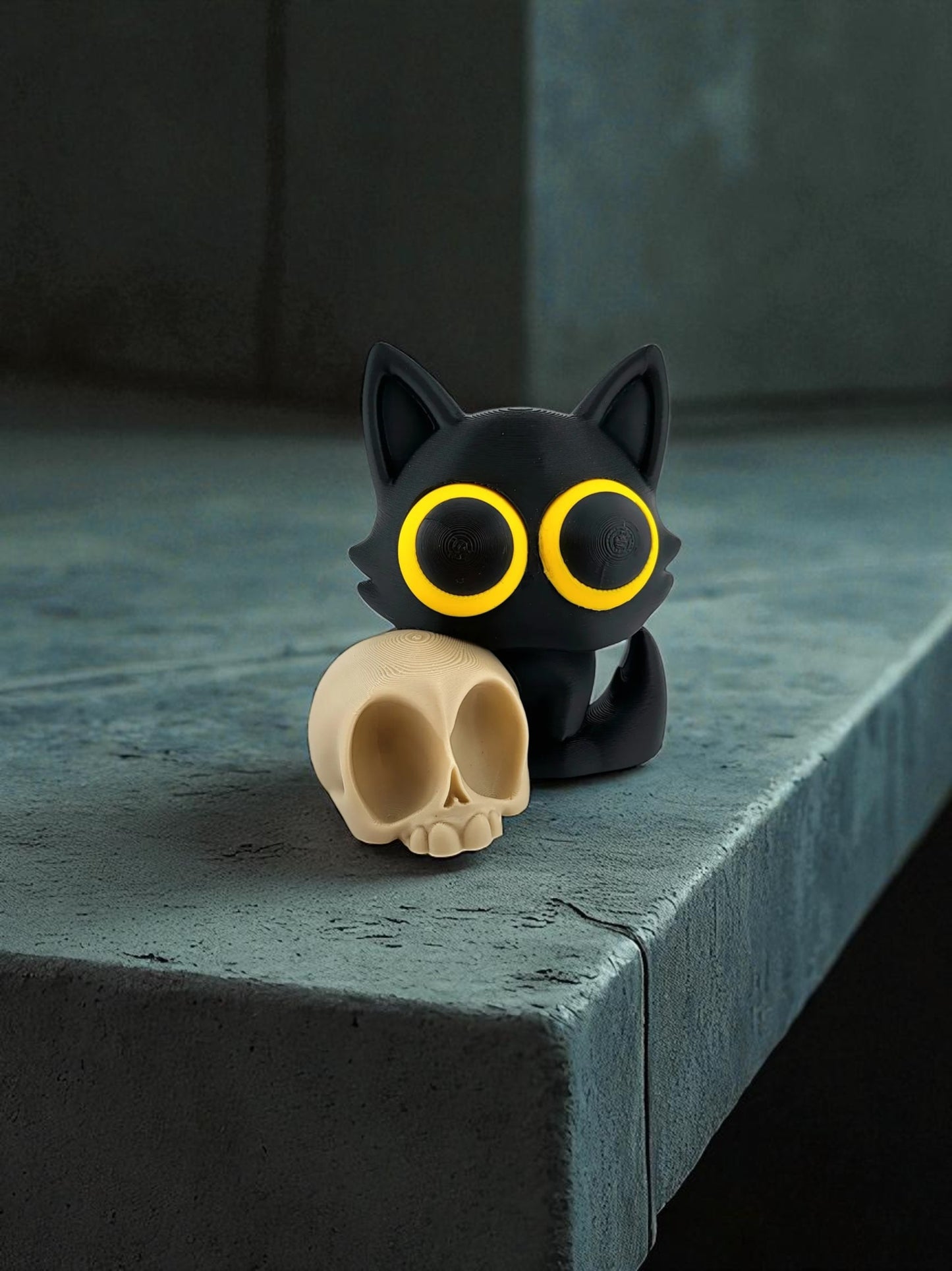 Black cat, white skull: a haunting duo